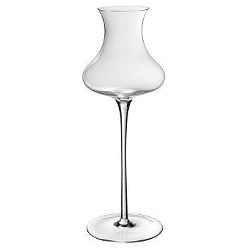 00000078525_01 11-11-2025 11-54