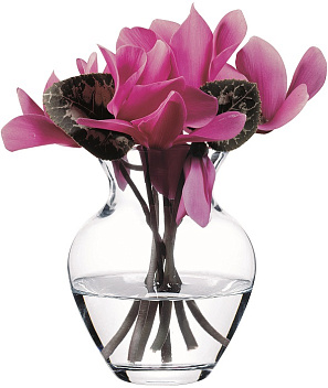 Ваза для цветов h=144 мм. Ботаника /6/360/ Ваза для цветов h=144 мм. Ботаника /6/360/