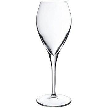 00000077584 20-11-2025 16-10